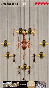 Smash The Ants Game image