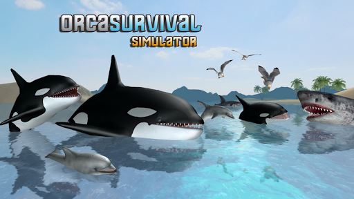 imagem Orca Survival Simulator