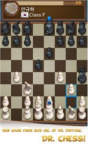 Dr. Chess image