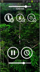 Los sonidos del bosque - Naturaleza & la imagen del sueño