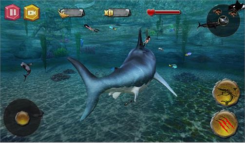 imagen Shark.io