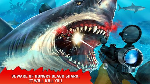 imagem caça tubarão