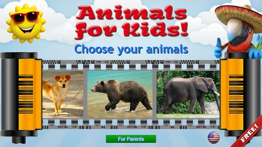 Animais para Crianças - Imagem de flashcards