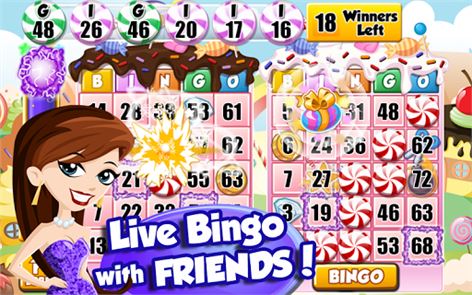 Bingo PartyLand image