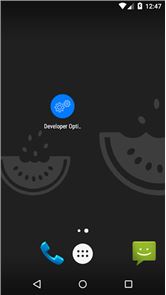 Developer options image