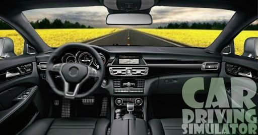 Driving Car Simulator image