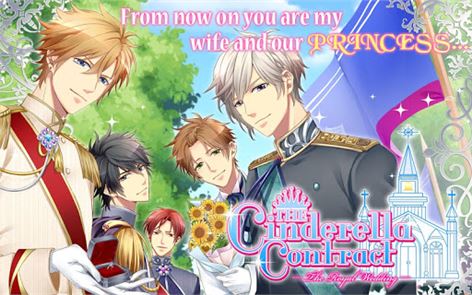 The Cinderella Contract image