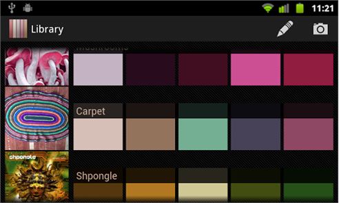 Real Colors, palette generator image