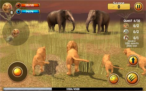 Wild Lion Simulator 3D image