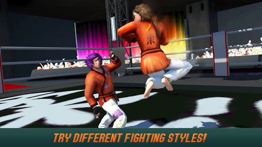 La lucha contra el karate tigre 3D - 2 imagen