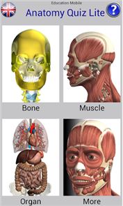 Anatomia Questionário imagem grátis