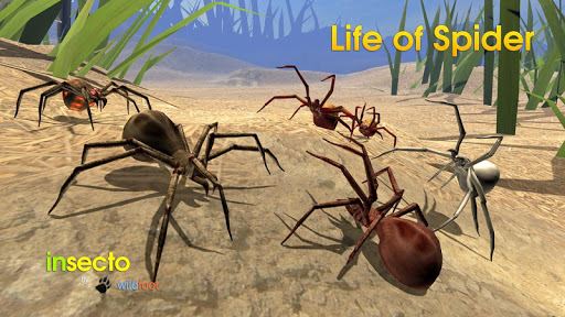 La vida de la imagen Araña