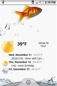 Weather forecast widget image