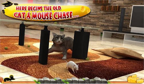 Crazy Cat vs. Mouse 3D image