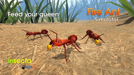 Simulador imagen Hormiga de fuego