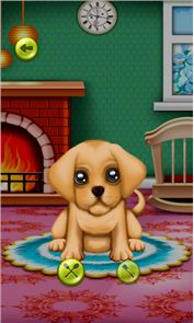 Wash and Treat Pets  Kids Game image