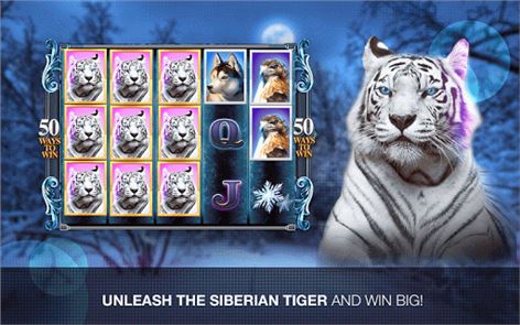 imagem Slots Super Tiger Casino Slots