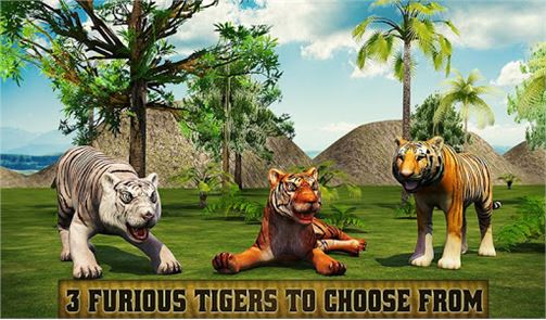 La venganza del tigre enojado 2016 imagen