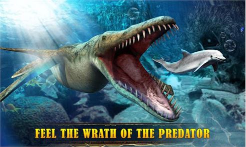 Final Oceano Predator 2016 imagem