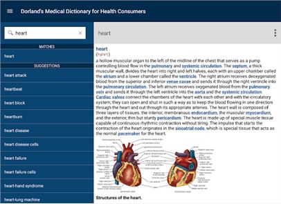 Dorland’s Medical Dictionary image