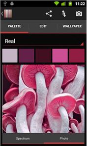 Real Colors, imagen Generador de paleta