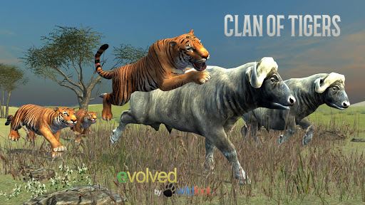 Clan imagen tigres de