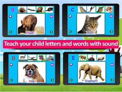 Kids Animal ABC Alphabet sound image