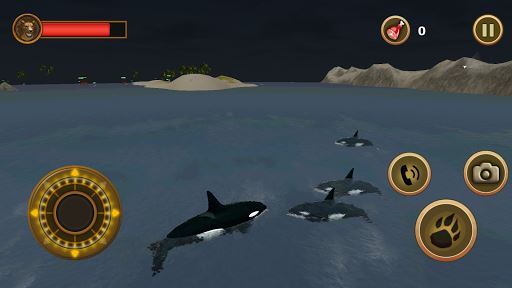 Orca imagen Supervivencia Simulador