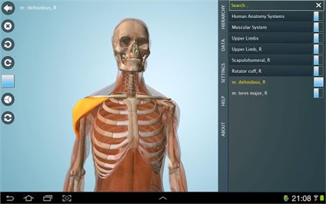 Anatomy 3D - Anatronica image