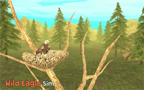 Wild Eagle Sim 3D image