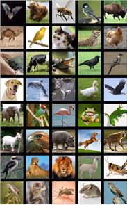 Animals Sound Box PRO image