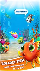 imagem Peixes Mundial