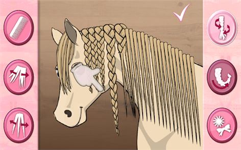 Cuidado del caballo - imagen que trenza la crin