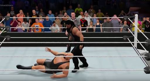 Fight WWE Action image
