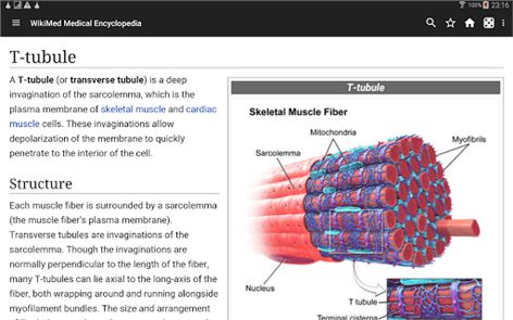 Wikipedia médica (off-line) imagem