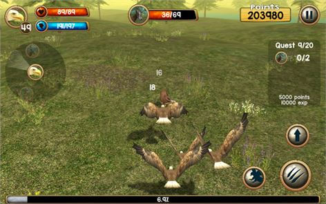 Wild Eagle Sim 3D image