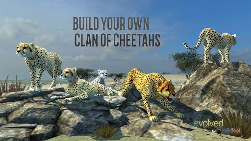 Clan imagen de guepardos