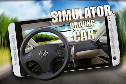 Simulador de imagen que conduce el coche