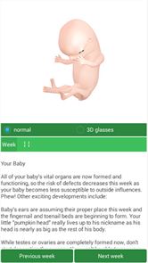 Pregnancy Calculator+Calendar image