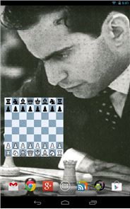 Campeonato Mundial de Xadrez 2013 imagem