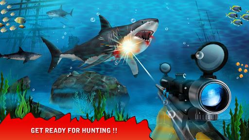 Shark Hunting image