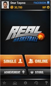 Real Basketball image