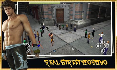 Real Street Fighting image