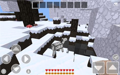 Play Craft : Block Survival image