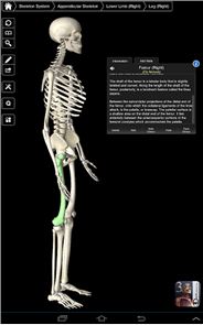 Essential Skeleton 3 image