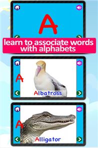 imagem sonora Kids Animal ABC Alphabet