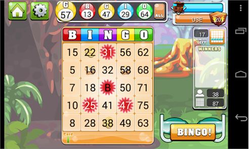 Bingo Casino image