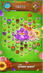 imagem Saga Blossom explosão