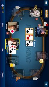Texas Holdem Poker image