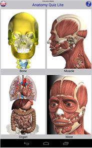 Anatomy Quiz Free image